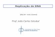 Prof. João Carlos Setubal - Instituto de Química- USP · (primers) de RNA para síntese da fita descontínua Fita contínua Fita descontínua Síntese da Fita descontínua Síntese