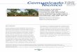 Comunicado195 Técnico Rio Branco, AC · O modelo estudado, correspondente a um módulo de 1 hectare, é um consórcio agroflorestal ... dados foram inseridos e analisados em planilhas