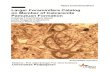 LARGER FORAMINIFERA CATALOG - ftgeologi.unpad.ac.idftgeologi.unpad.ac.id/wp-content/.../Larger-Foraminifera-Catalog-On... · LARGER FORAMINIFERA CATALOG ON MEMBER OF CALCARENITE PAMUTUAN
