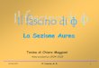 La Sezione Aurea - blogsecondariamonza.preziosine.itblogsecondariamonza.preziosine.it/.../2015/06/La-Sezione-Aurea.pdf · 01/06/2015 Il fascino di 2 Prima parte Cenni alle ipotesi