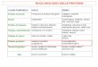 RUOLI BIOLOGICI DELLE PROTEINE - Moodle@Units · PROTEINE DI DIFESA – Ig ed MHC ANTICORPI (Immunoglobuline) B-CELLS, T-CELLS (LINFOCITI con recettori MHC) ... delle cellule (meccanismo