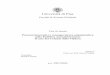 Università di Pisa - Il portale giuridico online per i ... · Università di Pisa Facoltà di Scienze Politiche Tesi di laurea Processi innovativi e consapevolezza organizzativa