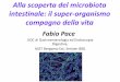 intestinale: il super-organismo compagno della vita · “Il microbiota intestinale (MI) rappresenta un bioreattore anaerobico programmato con un enorme popolazione di batteri, dominata