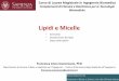 Lipidi e Micelle - mauro.pasquali/page2/page9/downloads/files/21...  Complementi di Chimica e Biochimica
