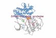 Struttura delle proteine - Avvisi · 2017-04-17 · sequenza di aminoacidi legati tra loro da legami peptidici . Perché è estremamente importante conoscere la struttura primaria