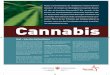 Nutzen und Schädlichkeit der Hanfpflanze werden kontrovers ...1).pdf · Nutzpflanze Hanf (Cannabis sativa) gab bis zu Beginn des 20. Jahr hunderts einen wich - ... Cannabis enthält