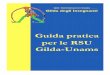 Guida pratica per le RSU Gilda-Unams - gildanapoli.it · per richiedere l’uso dei locali ai fini dello svolgimento di un’assemblea sindacale è obbligatorio indicare l’ordine