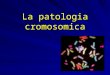 Diapositiva 1 - dog of the grapes | materiale vario per tutti gli usi … · PPT file · Web viewLa patologia cromosomica LO STUDIO DEI CROMOSOMI: CITOGENETICA 0.5% DEI NEONATI: