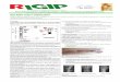 Gene SHOX: review e casistica clinica - geneticapediatrica.it fileRivista Italiana di Genetica e Immunologia Pediatrica - Italian Journal of Genetic and Pediatric Immunology Anno IV