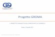 Presentazione standard di PowerPoint - Collegio ... Di Berardino GROMA19.04... · lo sviluppo delle partecipazioni ed anche della stessa categoria dei professionisti ... principali