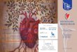 CON IL CONTRIBUTO DI · 14.00 Le nuove terapie nel Diabete Mellito: analoghi GLP I E DPP IV e complicanze cardiovascolari: ... • L’esame di alcuni pazienti con stenosi della carotide