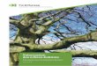 Valorisation des arbres-habitats - ForêtSuisse · la base de la convention-programme dans le domaine de la biodiversité, ce qui aidera les cantons à entreprendre les démarches
