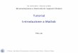 Tutorial Introduzione a Matlab - pselab.chem.polimi.itpselab.chem.polimi.it/.../uploads/2018/04/Ese-00-Tutorial-A-Matlab.pdf · Introduzione a Matlab PSE-Lab Prof. Davide Manca –