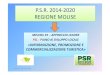 P.S.R. 2014-2020 REGIONE MOLISE · Obiettivi Strategici PRIORITARI della SSL e del PIANO DI SVILUPPO LOCALE ... La strategia oltre ad essere orientata alla creazione di ... Costruire