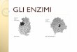 GLI ENZIMI - chimicaelab.altervista.org ENZIMI.pdf · inorganici, gli enzimi sono altamente specifici sia verso il substrato sul quale agiscono, sia verso il tipo di reazione che