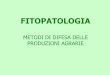 FITOPATOLOGIA MEDODI DI DIFESA DELLE PRODUZIONI … OLIVO2.pdf · fitosanitari secondo uno schema fisso prestabilito Basata sull’utilizzo di un prodotto fitosanitario in una determinata