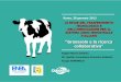 “Granarolo e la ricerca collaborativa” - ENEA — it · Lancio: Marzo 2012 La nuova linea di alimenti per l’infanzia. Gruppo Granarolo –Dir. Qualità, Innovazione, Sicurezza,