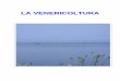 Venericoltura - INAIL Ricerca Home Page .attivit  di pesca in mare aperto delle vongole e specie