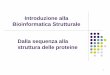 Introduzione alla Bioinformatica Strutturale Dalla ...ddlab.sci.univr.it/alberto/bioinformatica/Teoria_L08_Introduzione... · Le similitudini (domini, fold, ponti disolfuro, ecc)