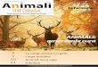 Numero 3 Anno 2013 Animali - irisservice.it · l’uomo che per gli animali. Si passa poi alla scoperta di un animale speciale, quale l’asino ... A pagina 11 viene trattata un’altra