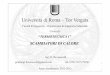 Università di Roma – Tor Vergata - DidatticaWEBdidattica.uniroma2.it/.../144485/15_-_TT1_-_Scambiatori_di_calore.pdf · Si tratta di dispositivi che consentono il trasferimento