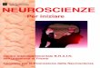 Neuroscienze - Fisiokinesiterapia – Portale di ... · 7 LE NEUROSCIENZE Le neuroscienze sono un gruppo di discipline, molto diverse fra loro, che studiano il sistema nervoso, cioè