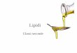Lipidi - scienzedeglialimenti.files.wordpress.com · Da un punto di vista alimentare e nutrizionale i lipidi più importanti sono acilgliceroli (o gliceridi), steroli e terpeni (lipidi