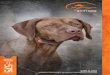 GUIDA ALL'USO - sportdog.com1).pdf · possono causare gravi ferite e persino il decesso del loro padrone e di altri. In caso di dubbi sull’idoneità ... cane e padrone operino in