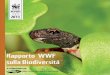 Rapporto biodiversità 2013 WWF Italiaawsassets.wwfit.panda.org/downloads/rapporto_biodiversita_wwf_2013... · La nuova strategia dell’Unione Europea 2020 per arrestare la perdita