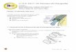 U.T.E 2017-18 Nozioni di Ortopedia - UTEMilanoGalleria di Ortopedia - Modulo 1.pdf · articolazione trapezio-metacarpale. l Aggravata dalle gestualità e sforzi professionali ripetuti