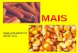 MAIS - diprove.unimi.it · Uno spettacolare salto di qualità nel miglioramento genetico del mais fu realizzato con l'introduzione del concetto di ibrido. L'era dei mais ibridi è