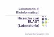 Ricerche con BLAST (Laboratorio) - Bioinformaticsmolsim.sci.univr.it/2014_bioinfo1/04_Ricercche_con_Blast.pdf · Cercare di spiegare il motivo delle differenze osservabili nei risultati