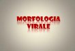 Morfologia virale - homepage — Unife · 2012-03-07 · costituenti i capsomeri (unità base del capside) sono molto poche, specifiche del virus. Nei virus nudi sono in grado di