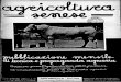 Agricoltura senese - liberdigit.orgagric-senese-1942.pdf · Relazione sullo svolgimento delle iniziative zootecniche nel 1941 -XIX Le iniziative zooteeniche si sono svolte nel 1941,