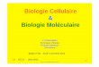 Biologie Cellulaire Biologie Molé .Biologie Cellulaire & Biologie Moléculaire L3 UE 5.2 2013-2014