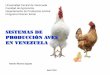 SISTEMAS DE PRODUCCIÓN AVES EN VENEZUELA · Slide 1 Author: Ramon Alvarez Created Date: 4/4/2015 4:26:08 PM 