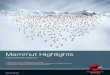 Mammut Highlights - berlin- .GORE-TEX® Comfort Mapping Zones 01 Abnehmbarer, elastischer Schneefang