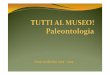 Anno scolastico 2014 -2015 - msn.unipi.it · Primo approccio alla Paleontologia con presentazione del lavoro del paleontologo e spiegazione del significato dei fossili, attraverso