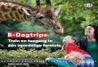 B-Dagtrips 2018 def - belgianrail.be/media/8E85EF... · van het leven. Breng in Azië een bezoek aan de kersverse olifanten-baby’s Suki en Tun Kai. Trek door de savanne in Afrika
