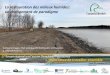 Conférence - La restauration des milieux humides : un ... · photo interprÉtation et validation sur le terrain fleuve saint-laurent amÉnagements rÉalisations plus de 32 500 hectares