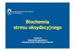Biochemia stresu oksydacyjnego - biotka.mol.uj.edu.plbiotka.mol.uj.edu.pl/zbm/handouts/2013/AJ/wyklad_08.pdf · Lu CS. Mol Aspcts Med 2009. - GSH syntetyzowany jest w cytoplaźmie,