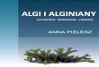 Anna Pielesz - gandalf.com.pl · Anna Pielesz: Algi i alginy – leczenie, zdrowie i uroda 5 Przedmowa Algi, makro i mikroalgi, glony, Algae, Phykos, wodorosty, Spirulina – z 