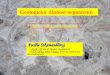 Geologická činnost organizmů - Veřejné služby ... · Změny prostředí vlivem organizmů: Změny hornin – vznik a destrukce, vliv na struktury i textury sedimentů Vzrůst