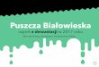raport z dewastacji w 2017 roku - m.greenpeace.orgm.greenpeace.org/poland/PageFiles/826918/raport_dewastacja_2017_m.pdf · w Polsce, jedyny wpisany na listę światowego dziedzictwa