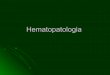 Hematopatologia - patomorfologia-cmuj.plpatomorfologia-cmuj.pl/sites/default/files/2r_WL_HematopatologiaTe... · szpiczak CML. Białaczki ... rzadko – izolowany, bez współistniejącej