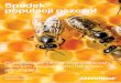 Spadek populacji pszczół - greenpeace.org · Główne czynniki wpływające na stan zdrowia populacji pszczół 23 5. Środki owadobójcze 29 6. Co możemy zrobić, ... śmiertelność