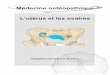 Médecine ostéopathique L’utérus et les ovairesosteopedia.iao.be/uploads/uterus_fr_demo.pdf · 8 1. Introduction L'ostéopathe est souvent confronté à des patientes souffrant