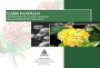 GARIS PANDUAN - mps.gov.my Panduan Landskap-.pdf · Surat permohonan daripada perunding landskap