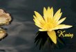 Kuning - bhagavant.com · nyata dari praktisi meditasi dan pengalaman penulis sendiri yang ... semua, dengan terbitnya karya ke-2 dari beliau, buku KUNING, setelah sebelumnya telah