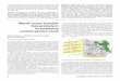 Wyniki oceny buhajów białogrzbietych na podstawie ...ph.ptz.icm.edu.pl/wp-content/uploads/2016/12/3-Chabuz.pdf · Światowa produk-cja żywności pochodzenia zwierzęcego oparta